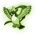 Pidgeot (Mega)